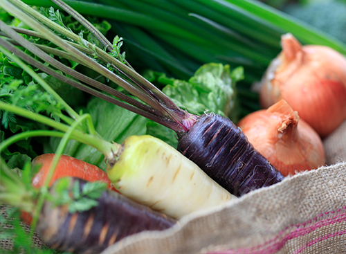 おかやま農業女子の彩り野菜