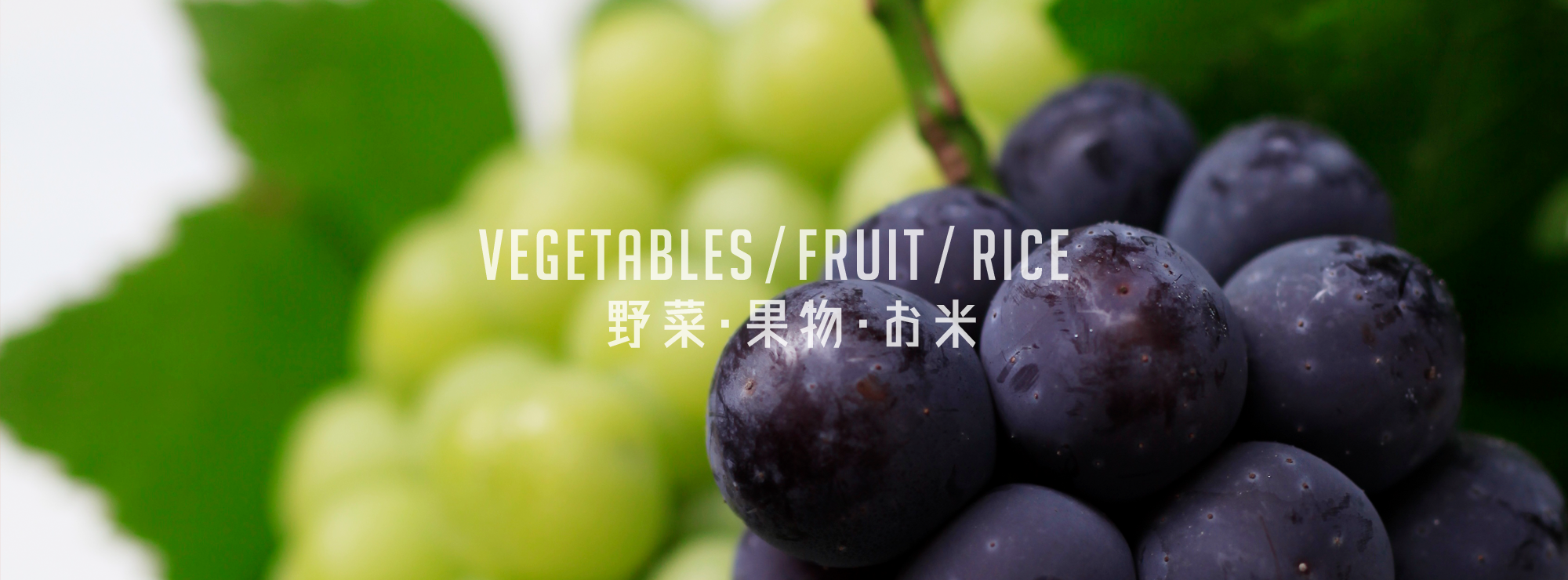 おかやま農業女子の新鮮農産物