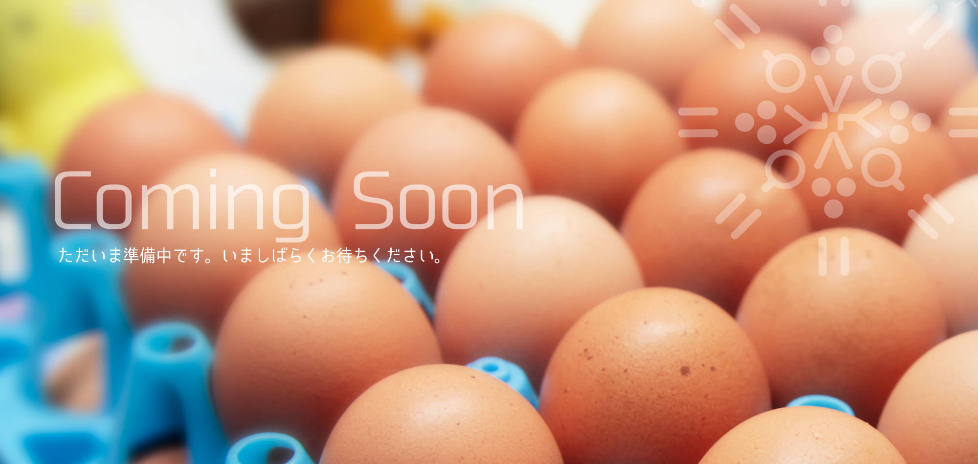 おかやま農業女子BE to B