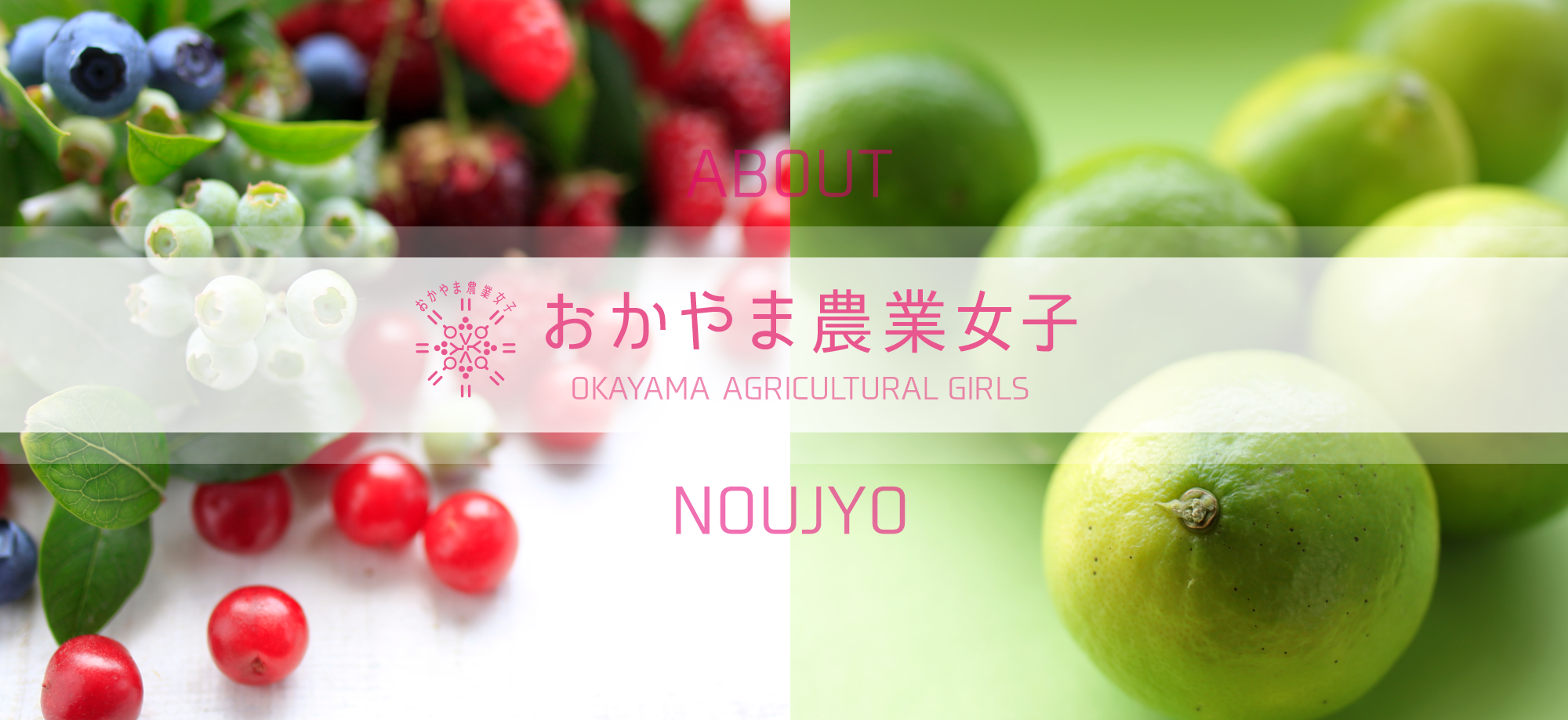おかやま農業女子について